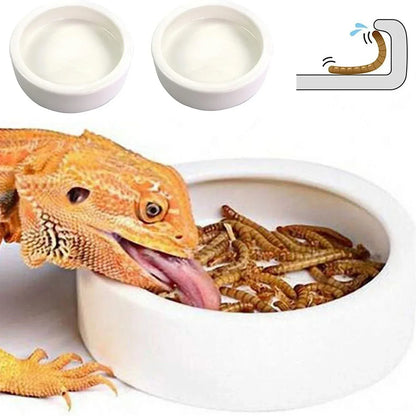 Reptile Food Bowl Feeding and Watering Bowl Anti-Escape Ceramic Feeding and Watering Bowl Anti-Escape Super Worm Feeder - Urbizia