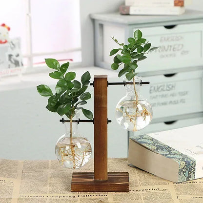 Hydroponic Plant Terrarium Vasevase Decoration Home Glass Bottle Hydroponic Desktop Decoration Office Green Plant Small Potted - Urbizia