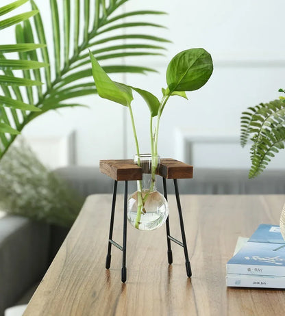 Wooden Frame Hydroponic Planter with Glass Bulb - Indoor Bonsai Plant Vase for Home Tabletop Office Desk Modern Decor