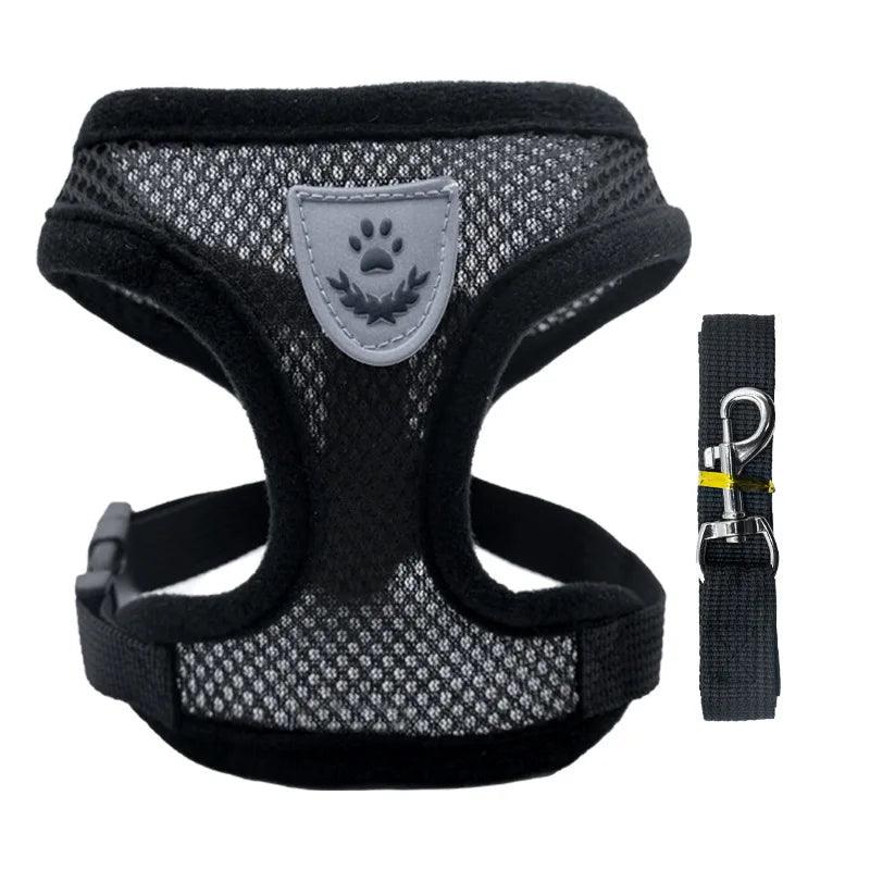 Hot summer small dog pet chest and back breathable dog chest and back suit cat outdoor traction rope child collar