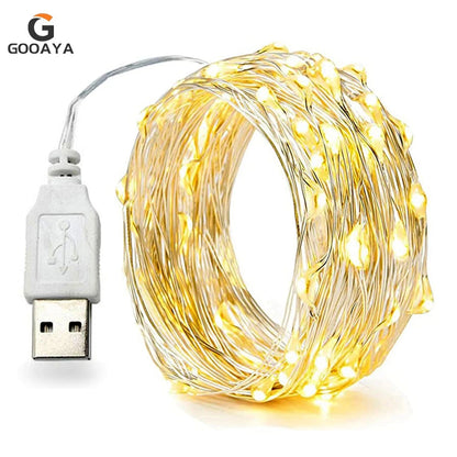 30M/10M USB LED Copper Wire String Lights – Waterproof Fairy Garland