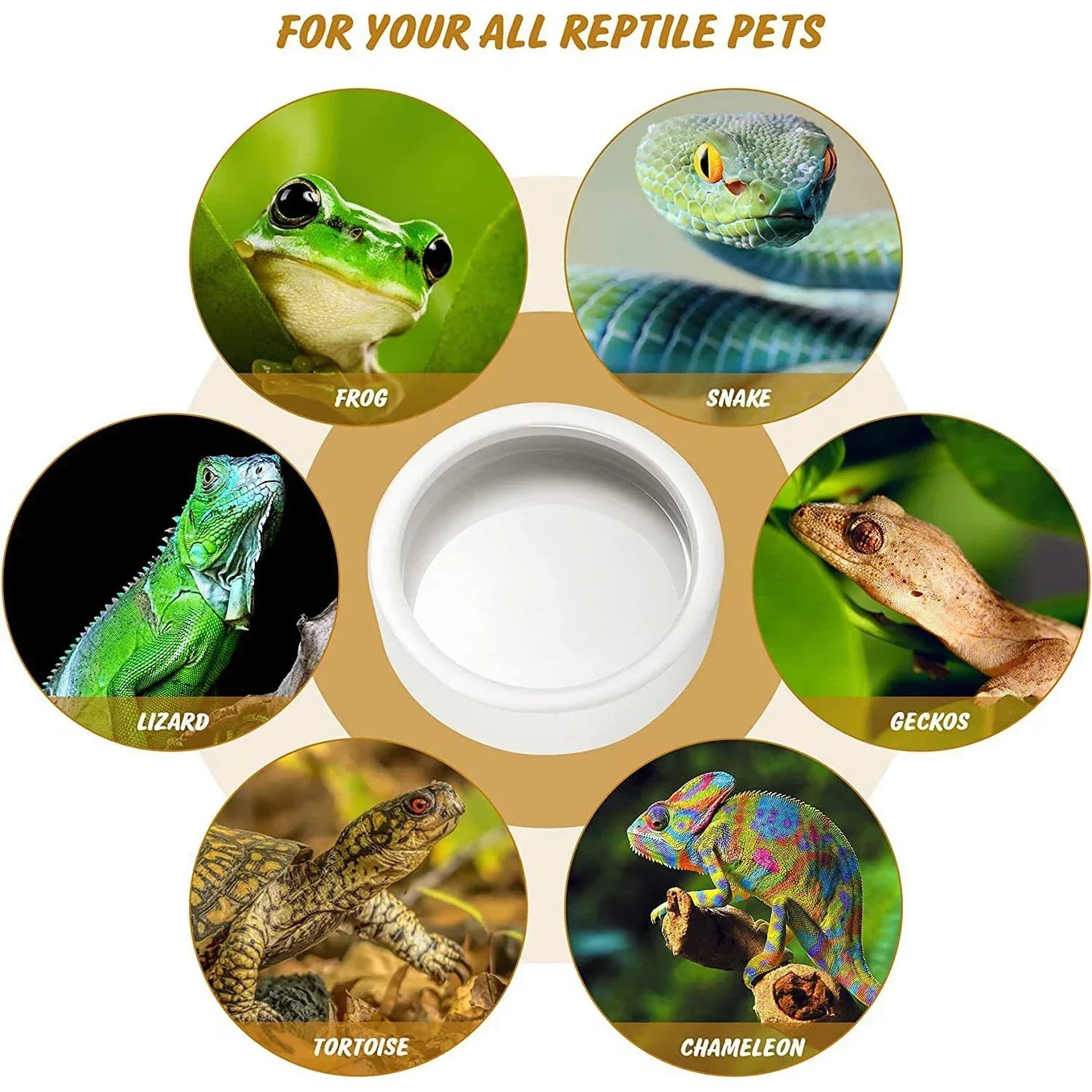 Reptile Food Bowl Feeding and Watering Bowl Anti-Escape Ceramic Feeding and Watering Bowl Anti-Escape Super Worm Feeder - Urbizia
