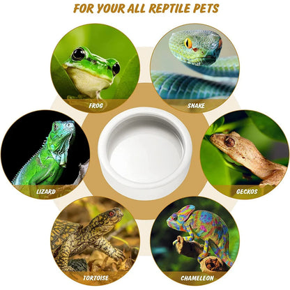 Reptile Food Bowl Feeding and Watering Bowl Anti-Escape Ceramic Feeding and Watering Bowl Anti-Escape Super Worm Feeder - Urbizia