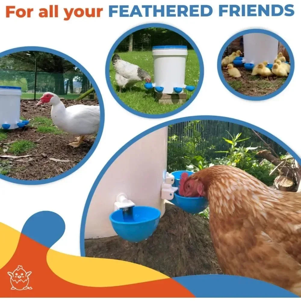 5PCS Poultry Kit Automatic Chicken Water Feeder Automatic Drinking Bowl Feeding Watering Supplie Chicken Waterer - Urbizia