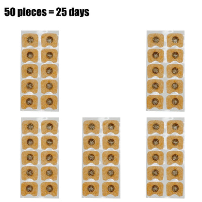 Nasal Breathing Dilator Starter Kit