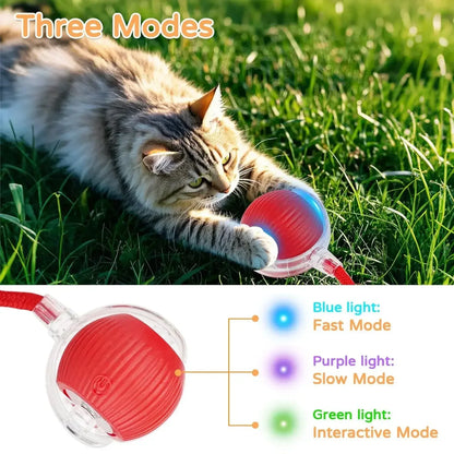 Dog Cat Interactive Ball Toy Automatic Rolling Ball Faux Tail Rechargeable Smart Pet Electric Toy Dog Cat Training Imitate Mouse - Urbizia
