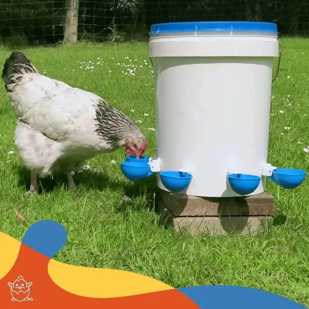 5PCS Poultry Kit Automatic Chicken Water Feeder Automatic Drinking Bowl Feeding Watering Supplie Chicken Waterer - Urbizia