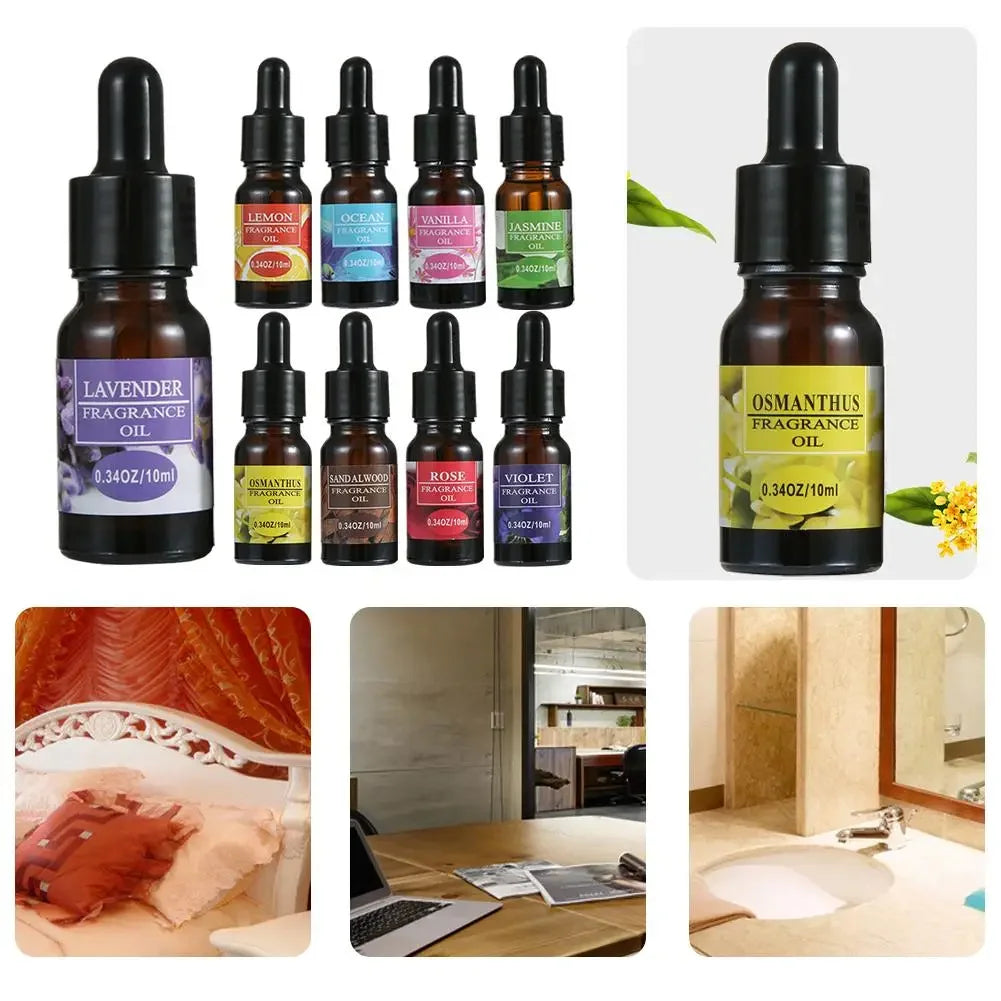 Car Perfume Refill Liquid Flavor Essential Oil with Dropper 10ml Car Air Freshener For Air Humidifier Home Auto Fragrance
