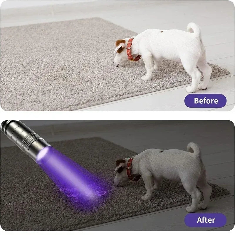 UV Flashlight 395nm Ultraviolet Torch With Pen Clip Portable AAA Batteries Used Violet Light Pet Urine Scorpion Detector UV Lamp - Urbizia