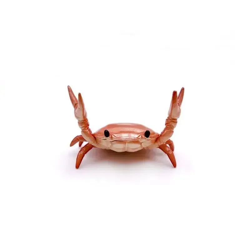 Funny Crab Desktop Pen Holder as creative stationery - Urbizia