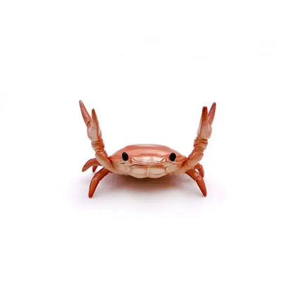 Funny Crab Desktop Pen Holder as creative stationery - Urbizia