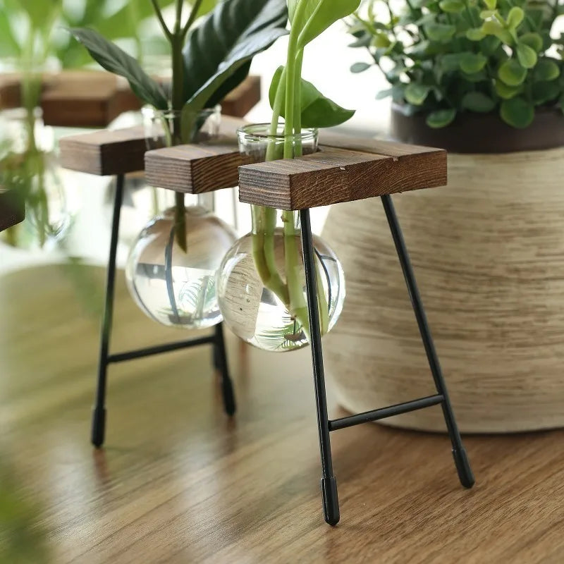 Wooden Frame Hydroponic Planter with Glass Bulb - Indoor Bonsai Plant Vase for Home Tabletop Office Desk Modern Decor
