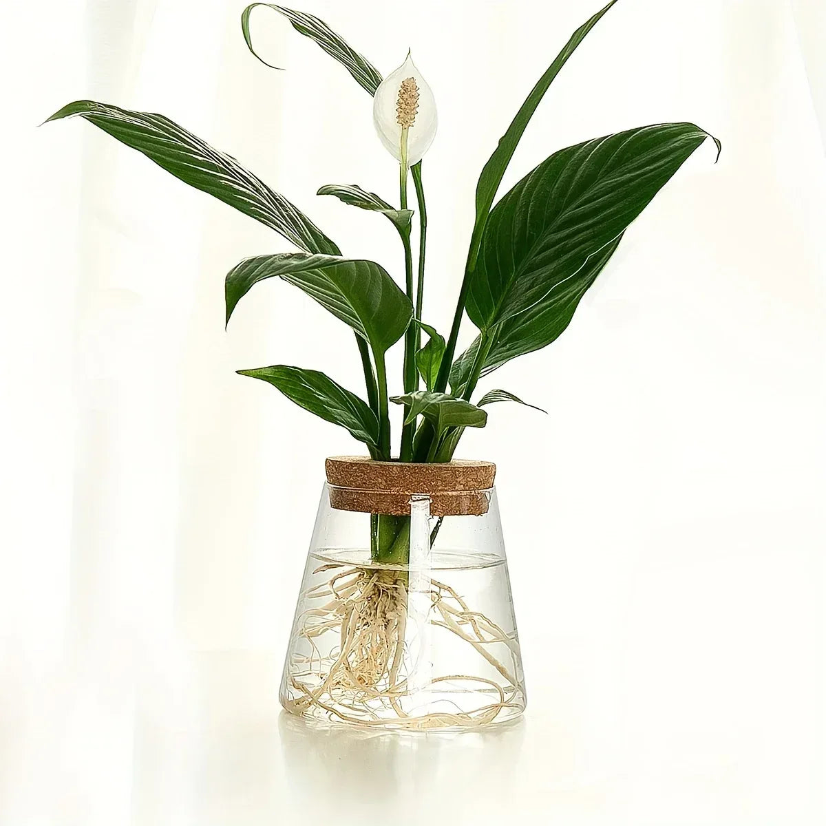 1pc, Glass Planter Propagation Station Vase Rack Tabletop Hydroponic Plants Cuttings Office Home Decoration - Urbizia
