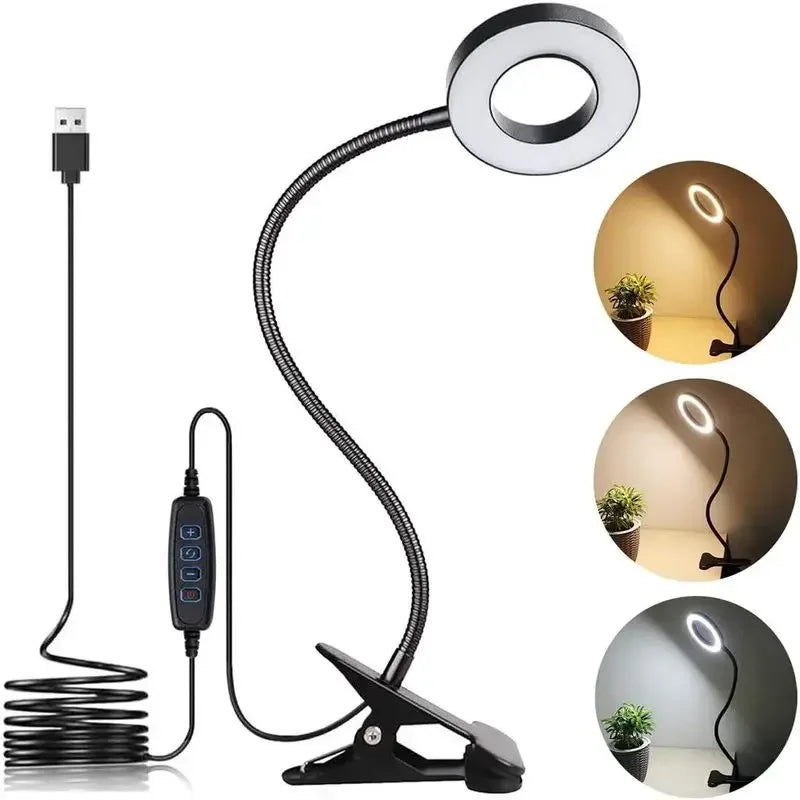 USB Rechargeable LED Desk Lamp,3 Modes Touch Dimming Eye-Caring Table Lamp w/Folding Clamp,Portable Night Light for Study Read - Urbizia