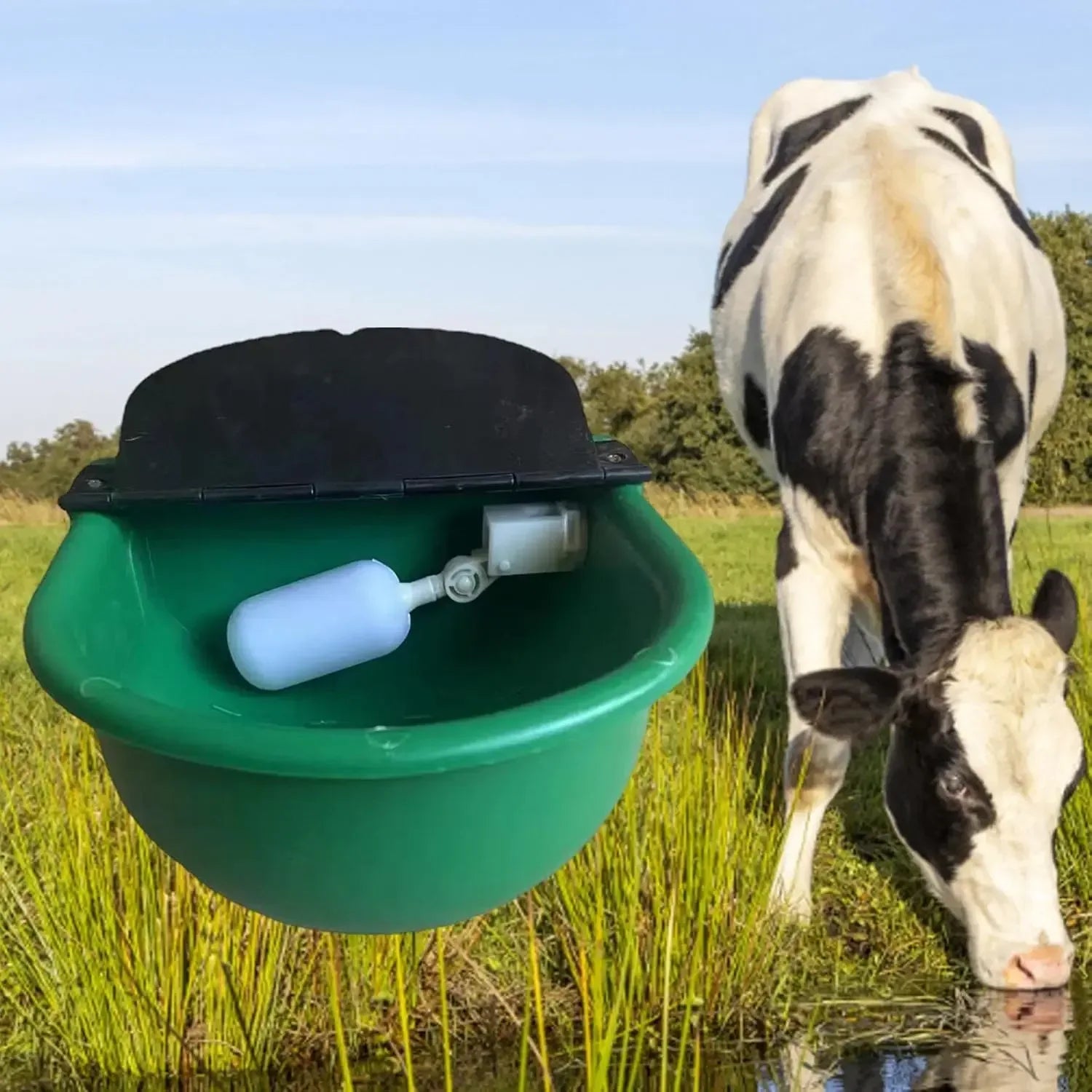 Automatic Water Drinking Bowl Farm Animals Water Feeder Cow Drinking Tool for Sheep Goats Feeding Water Bowl Livestock Supplies - Urbizia