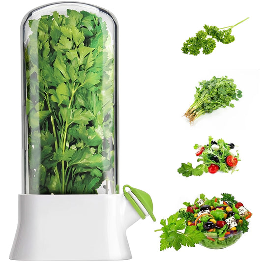 Herb Saver Container for Fresh Vegetable Storage