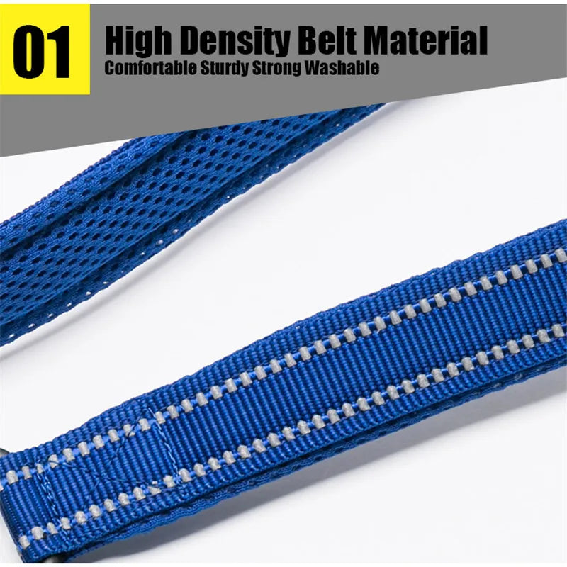 Truelove Reflective Padded Dog Leash