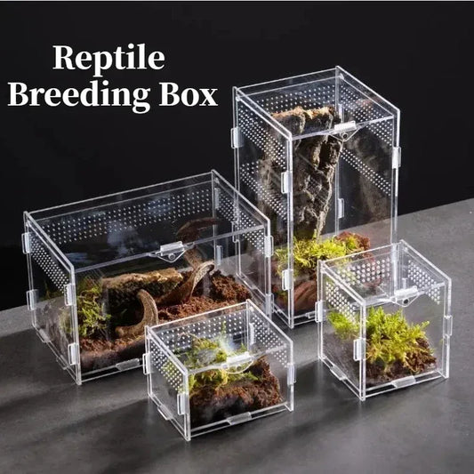 Reptile Habitat Terrarium Breeding Box Acrylic Case Nano Arboreal Tarantula Enclosure Spider Scorpion Bearded Dragon Habitat - Urbizia