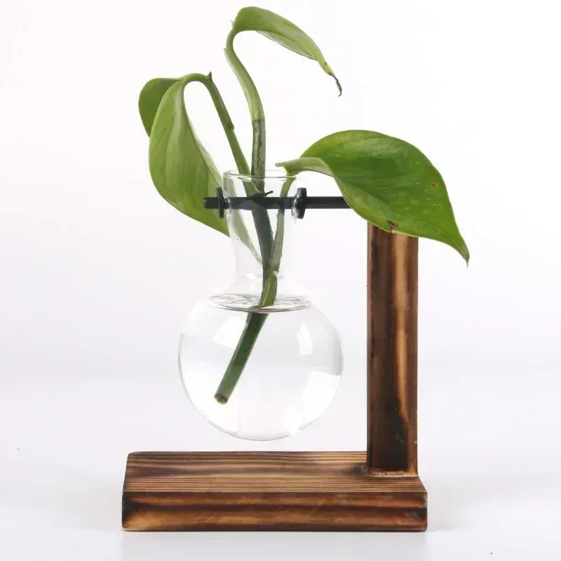 Hydroponic Plant Terrarium Vasevase Decoration Home Glass Bottle Hydroponic Desktop Decoration Office Green Plant Small Potted - Urbizia
