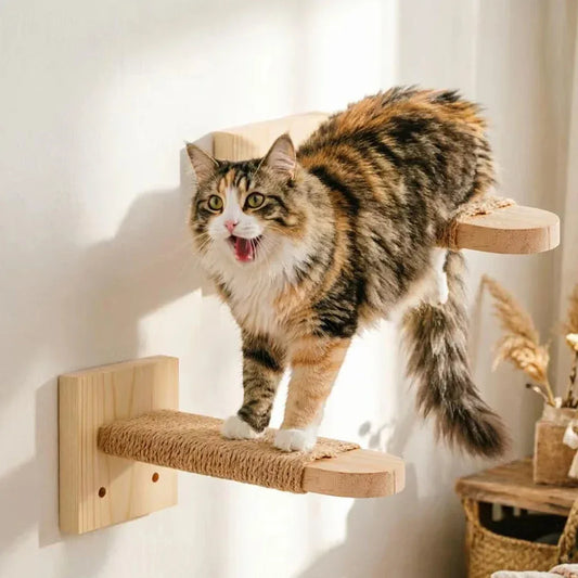 Cat Wall Climbing Shelves ScratcherFurniture Wall Mounted Bed Cat Wall Shelves & Hammock for Indoor Cats Home Decor Accessories - Urbizia