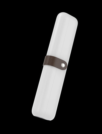 HOMEFISH Rechargeable Mini UV light toothbrush sanitizer sterilizer case for for Traveling