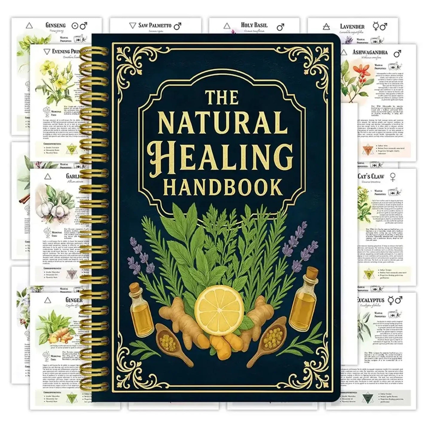 Natural Healing Handbook – Holistic Wellness & Self-Care Guide - Urbizia