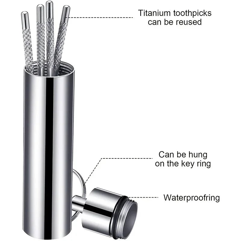 Reusable Stainless Steel Toothpick Set