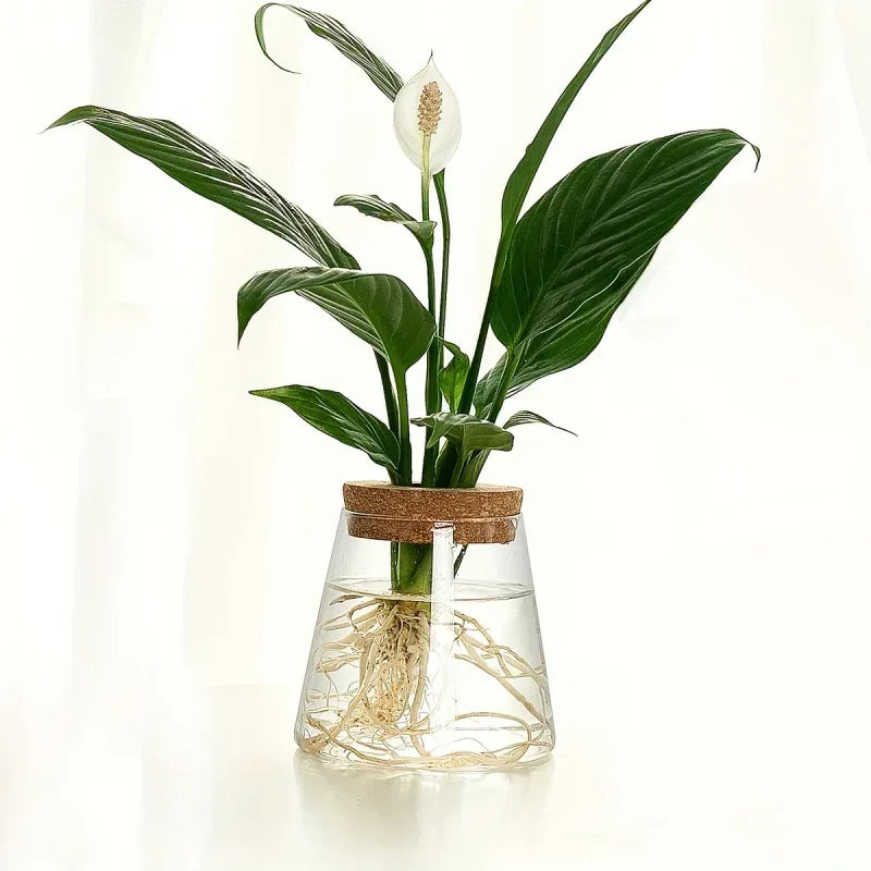 1pc, Glass Planter Propagation Station Vase Rack Tabletop Hydroponic Plants Cuttings Office Home Decoration - Urbizia