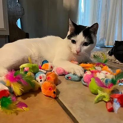Cat Toys Mixed Pack – 14, 28, or 56 Pieces