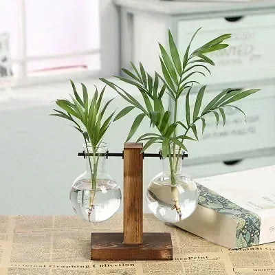 Hydroponic Plant Terrarium Vasevase Decoration Home Glass Bottle Hydroponic Desktop Decoration Office Green Plant Small Potted - Urbizia