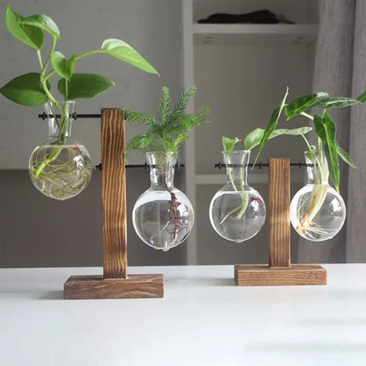 Creative Glass Desktop Planter Bulb Vase Wooden Stand Hydroponic Plant Container Home Tabletop Decor Vases - Urbizia