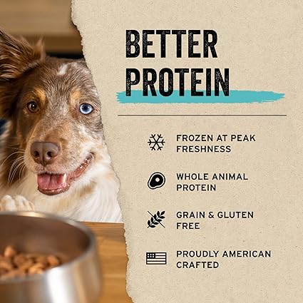 Vital Essentials Beef Liver Dog Treats, 2.1 oz | Freeze-Dried Raw | Single Ingredient | Premium Quality High Protein Training Treats | Grain Free, Gluten Free, Filler Free - Urbizia